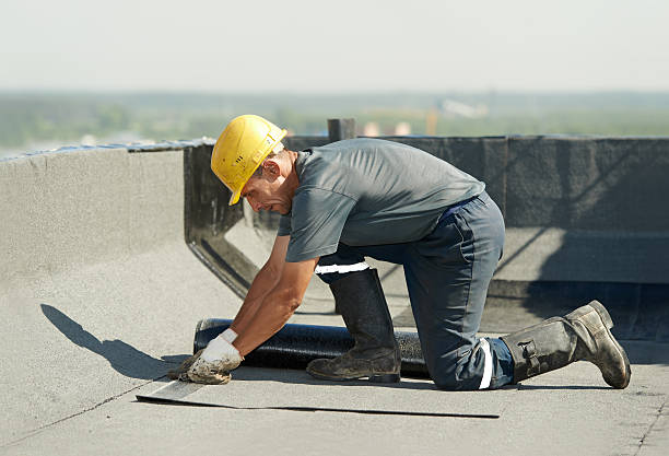 Best Insulation Installation Services in East Peoria, IL